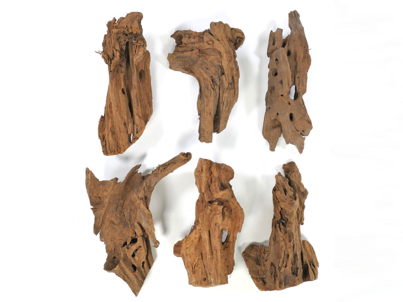 Finger-Wurzel füe Aquarien und Teiche 10